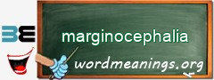 WordMeaning blackboard for marginocephalia